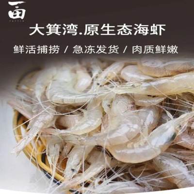 金湾【一田野生白虾】肉质鲜美 补钙 现捞新鲜发货