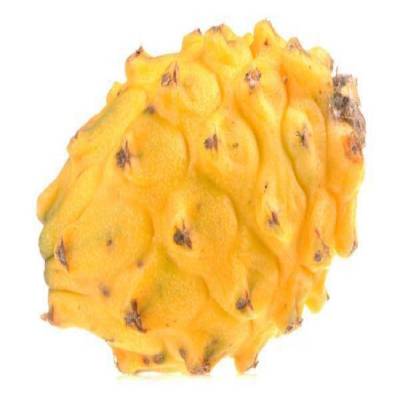 黄皮火龙果是一种比较昂贵的水果，虽然是黄皮火龙果昂贵但比普通的火龙果营养价值高产量少品质高而珍贵。