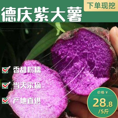 广东德庆特产紫大薯脚板薯新鲜现挖紫色大薯毛薯紫山药紫淮山
