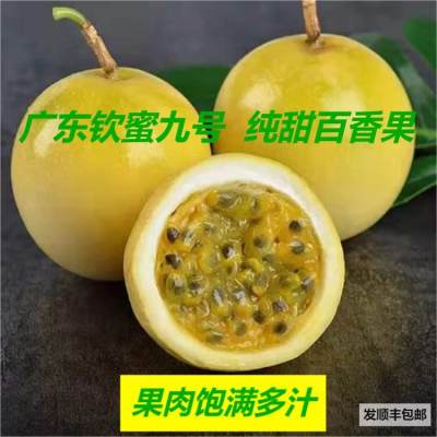 广东黄金百香果(钦蜜九号）纯甜 顺丰包邮