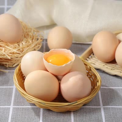 金津农家放养土鸡蛋