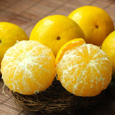 【丹霞贡柑】皇帝柑贡柑 （5斤/箱/10斤/箱）橘新鲜 现摘当季新鲜水果桔子橘子